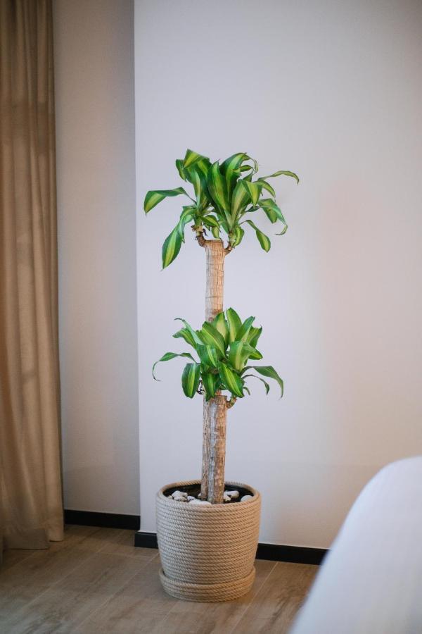 Boulevard Boutique Aparthotel Görice Dış mekan fotoğraf